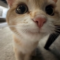 abcdefghijklmnopqrstuvwxyzllllll
