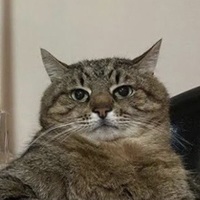 George