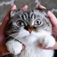 Константин Барынин