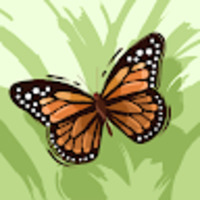 rapid url indexer