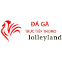 Đá Gà Trực Tiếp Thomo Hôm Nay