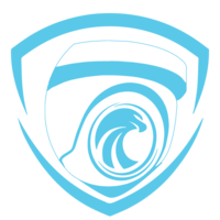 TRUSTED EAGLE SECURITY