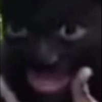 ABOBA