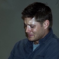 sassafrastiel