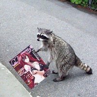 phartspizzas55