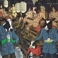 Findus