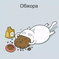 Илья Низов