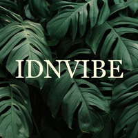 IDNVIBE