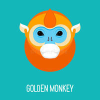 GoldenMonkey