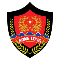congtybaovesonglong