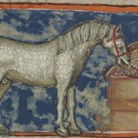 WhiteDestrier