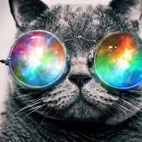 Be Here Meow