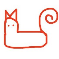 Коти
