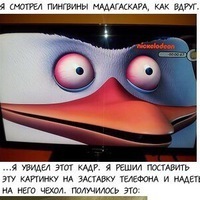marcopc