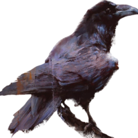 Ravenfell