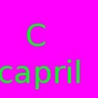 Caprill Dev