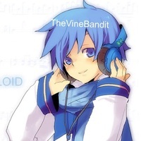 TheCoubBandit