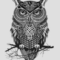 OwlinTheNight
