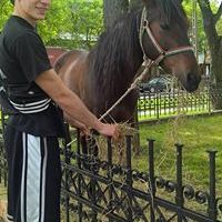 Pádár Vírus Milán