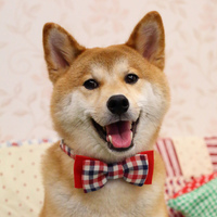 Medved Medvedoge