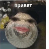 Саша