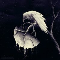 Белый Ворон / White Raven