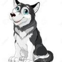 Coyote