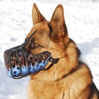 Родион Глок