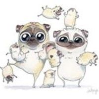 Puga Hamish