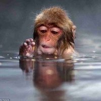 Don't Make Any Sudden Moves