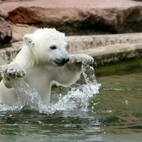 Артём Матийко