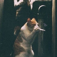 Павел Гесс