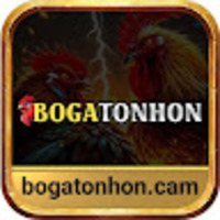 Bồ Gà Tonhon – Sân Chơi Đá Gà Trực Tiếp Đẳng Cấp Quốc Tế