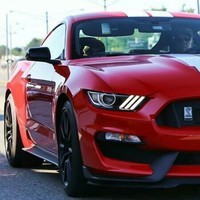 GT350