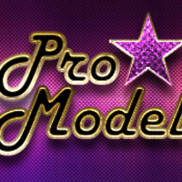 ProModel Studio