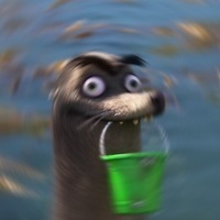 Sock iF