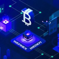 Wedefi vip