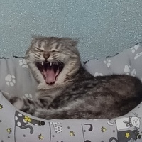 nix