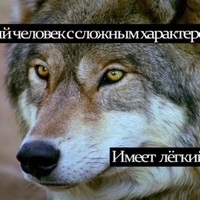 волк цетат