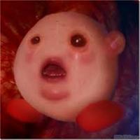 Vexor