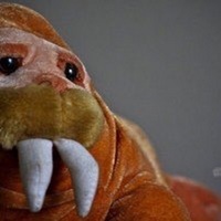 The Melancholy Walrus