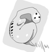 lillu