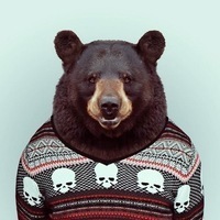 Евгений Ануфриев