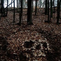 Влад Кучура
