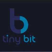 tinybitseo