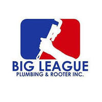 Big League Plumber