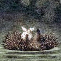 Sasanopel