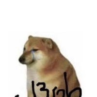 Sadden Doggo’s