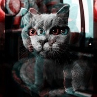 Владислав Устинов