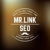 Mr Linh SEO